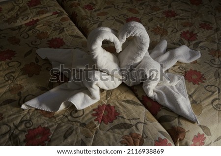 The art of towel folding