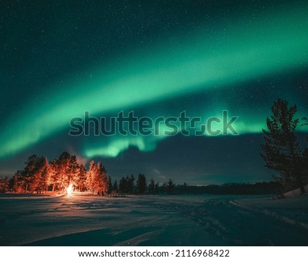 Aurora borealis northern light abisko swedish lapland Royalty-Free Stock Photo #2116968422