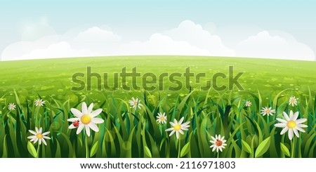 horizontal daisies field landscape. green Summer scene with white flowers, grass. sunny idyllic realistic spring background with daisies, green meadows, rural fields, valleys. blue sky, fluffy clouds Royalty-Free Stock Photo #2116971803
