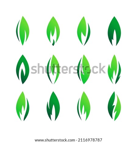 Green leaves set icons, vector illustration, various shapes of green leaf of trees and plants, elements for eco and bio logos