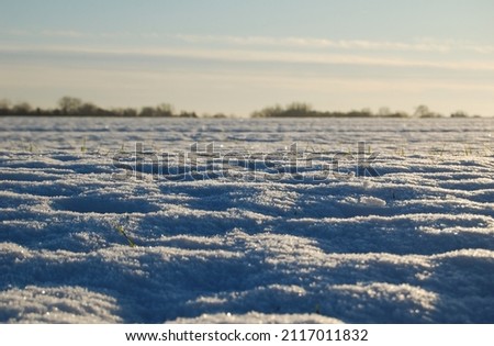Snowy winter rural landscape in Poland.