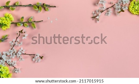 Flowering branches, cherry twigs and yellow flowers with pussy willow catkins on pink background. Spring, easter season border background, banner. Springtime floral, flat lay with copy space. 
