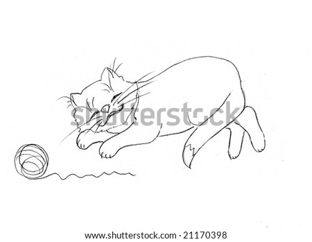 drawing of the cat on white background