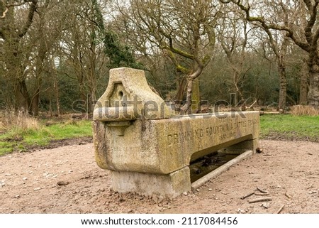water trough for horses in epping forest park in london