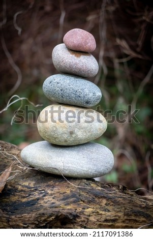on a tree trunk stands a stone stack with different colored stones
