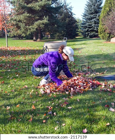 Color DSLR picture of fit, adult woman raking autumn leaves.  Girl is squatting or bending down to pick up brown fall leaves from the green grass.  Veritical orientation with copy space for text.  .  