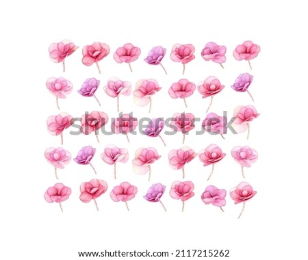 Floral square layout with natural fresh Hydrangea flower, pink color close up blooming flowers on white. Festive flat lay for Mothers day, 8 March, Womens day.  Spring or summer seasonal bloossom