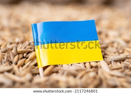 Flag of Ukraine on oat grain. Concept of growing oats in Ukraine Royalty-Free Stock Photo #2117246801