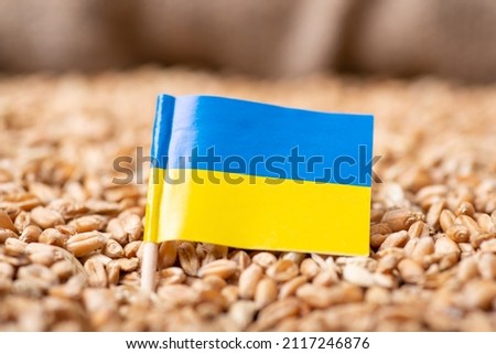 Flag of Ukraine on wheat. Harvest of wheat in Ukraine concept Royalty-Free Stock Photo #2117246876