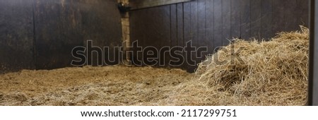 Empty stall in the stable with hay. Horse keeping concept Royalty-Free Stock Photo #2117299751
