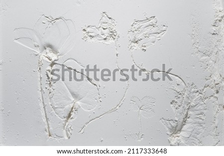 imprint of different types of plants and flowers, botanical illustration of the conservation of plants and their shape in a light texture