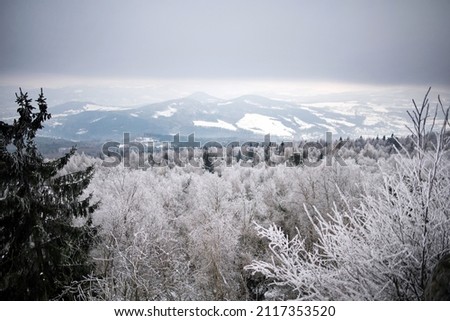Landscape photo full of snow