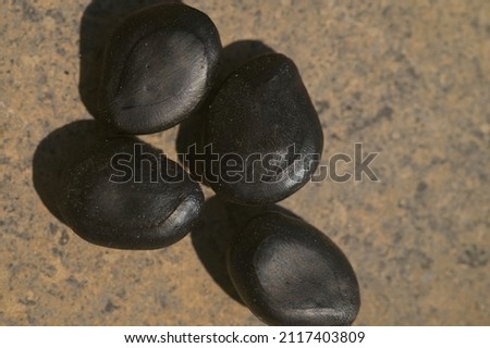 A Close up photograph of Tamarind seeds.