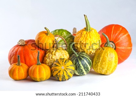 Colorful halloween pumpkins.