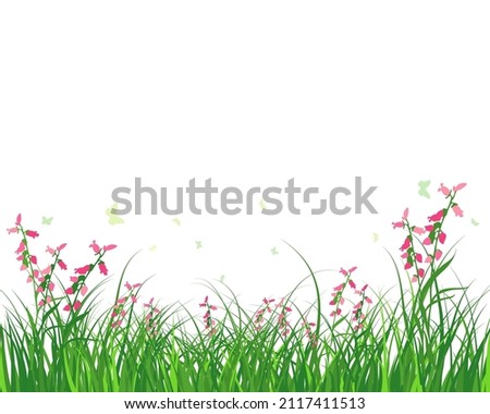Green spring meadow grass. Fresh color plants, seasonal growth grass, separated botanical elements, herbs. Natural lawn bushes, floral border. Vector Illustration.