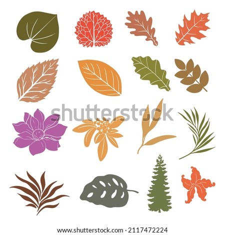 autumn leaf and trees minimalist vector art set