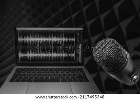 Professional microphone and wave form on laptop screen