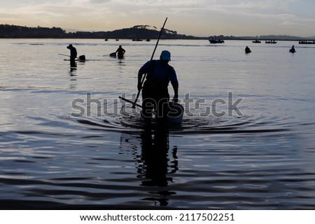 A shellfish worker looks for cockles and clams on a beach in Galicia at dawn Royalty-Free Stock Photo #2117502251