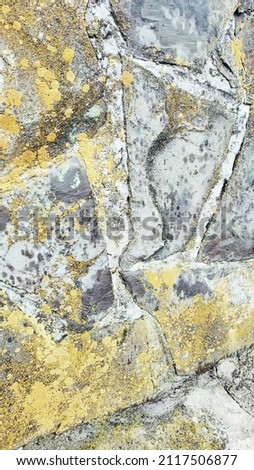 stone pavement with abstract pattern.