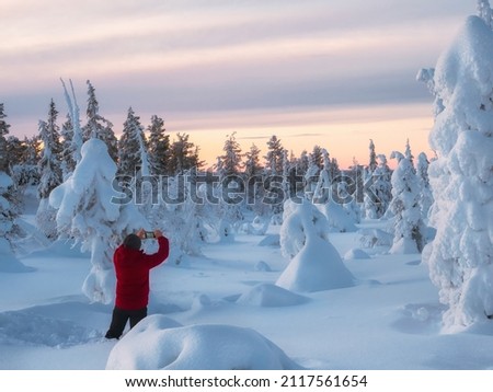 Man stands with his back in deep snow and taking photo using a smartphone the stunning views of snow-covered trees during a cold polar dawn. Winter vacation concept, trip to the Arctic fairy forest.