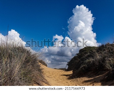 A natural view of the shore of Algarve in Portugal under a blue sky