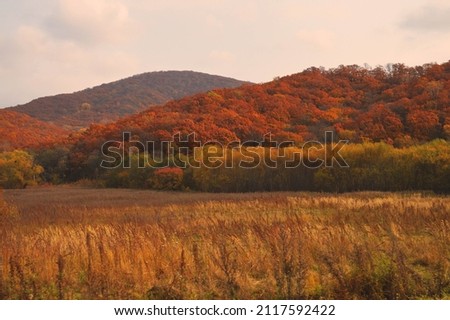 View of mountains in autumn season
