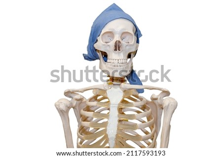 skeleton of a man in a blue bandana isolated on a white background. High quality photo