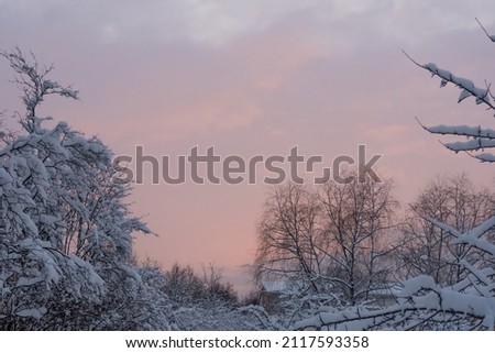 Winter, evening landscape. Nature of Scandinavia, Finland