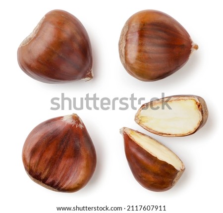 Set of horse chestnuts close-up on a white background, isolated. Top view Royalty-Free Stock Photo #2117607911