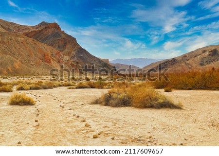 Walking track through the desert at China Ranch Date Farm, Tecopa, California
 Royalty-Free Stock Photo #2117609657