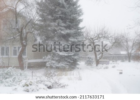 Blurred christmas background with trees, falling snow