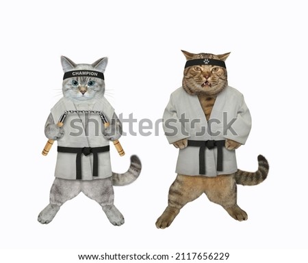 Two cats karate athletes with nunchucks are exercising. White background. Isolated.