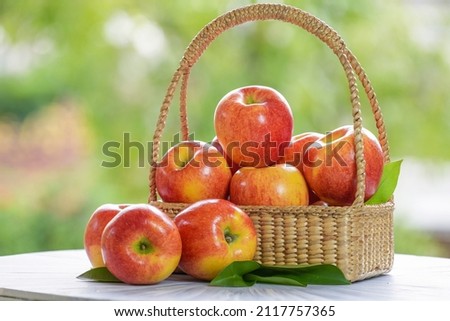 Fresh Red apple in basket over blurred greenery background, US. Red Envy apple in wooden basket on wooden table in garden.