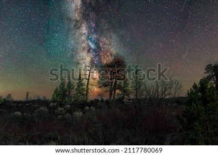 A STAR FILLED NIGHT OVER A RIDGE WITH SEVERAL HIGHLIGHTED TREES NEAR SUNRIVER OREGON