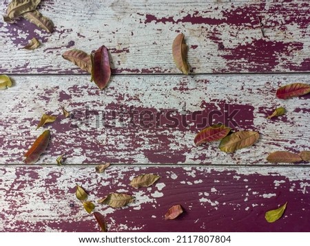 An old plank covered with leaves.
