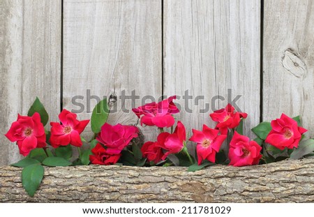 Flower border of red roses by rustic wood welcome sign hanging on wooden fence