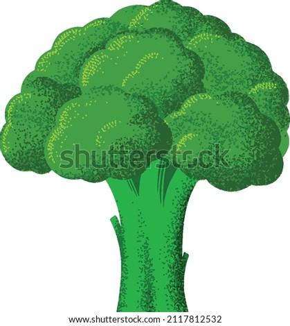 Broccoli vector. Broccoli floret. Broccoli vegetable illustration. Broccoli artwork. print on cards, mugs, posters, flyers, cloth, books and anywhere. Royalty-Free Stock Photo #2117812532