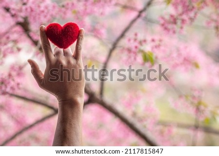 The man raised his hand above his head and made a love sign saying I love you, and in his hand was a red heart sign on blurry background of beautiful pink cherry blossoms. friendship and love concept