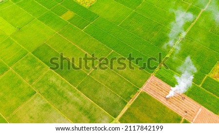 Aerial view of rice field with white smoke