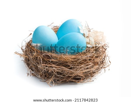 Three blue eggs in a nest isolated on a white background. Side view, close-up. Easter concept, Easter eggs. Royalty-Free Stock Photo #2117842823