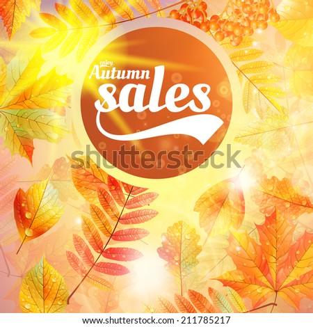 Autumn sale fall yellow leaves nature background. EPS10