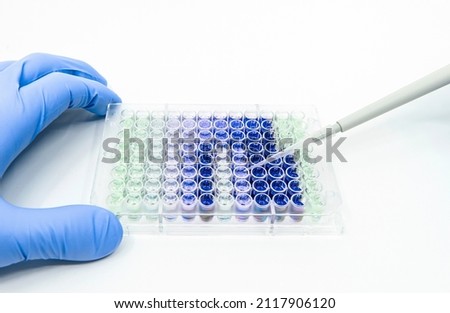 Scientist is putting reagents into 96 well micro plate with a single channel pipette for biological experiment Royalty-Free Stock Photo #2117906120