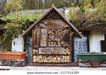 View to an insect house in the garden, protection for insects, named insect hotel, Insektenhotel. Royalty-Free Stock Photo #2117916389