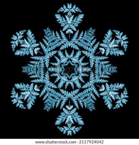 Kaleidoscope repeating pattern with rotational symmetry, snowflake made of lacy leaf
