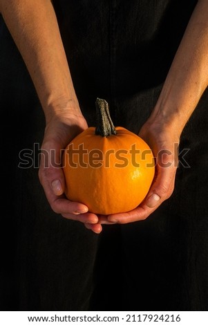 Hands Cup A Small Orange Pumpkin