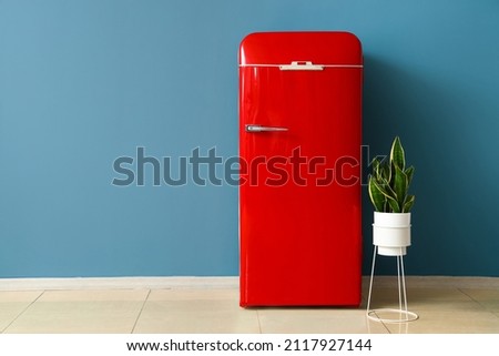 Red fridge and houseplant near blue wall
