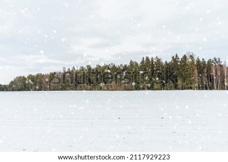 Winter cloudy lanscape. winter frozen day.Winter lanscape skyline with snow and trees.Copy space.