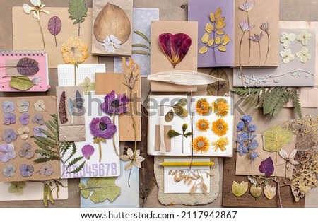 Old dry up flowers. Open book with herbarium pages. Vintage. Royalty-Free Stock Photo #2117942867