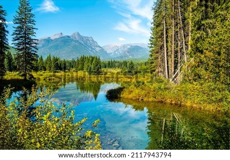 Mountains are reflected in a forest river. Forest river water. Mountain valley forest river landscape. River in forest Royalty-Free Stock Photo #2117943794