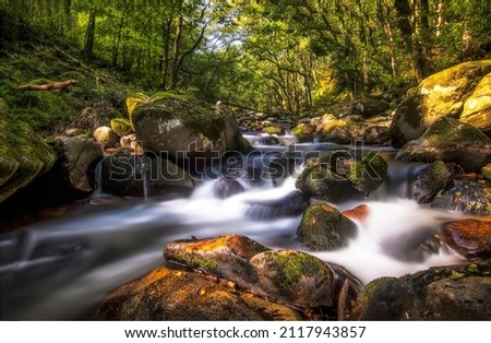 A fast stream in the forest flows over the stones. Cold creek in deep forest. Forest stream water. Forest cold creek flowing Royalty-Free Stock Photo #2117943857
